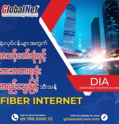 GlobalNet DIA Internet