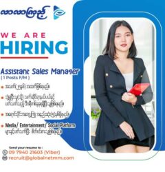 Assistant Sale Manager